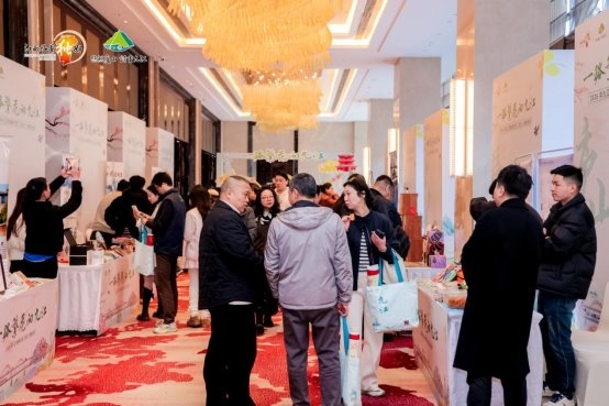 一路繁花向九江：2026年九江市春季文旅（武汉）宣传推介会精彩绽放