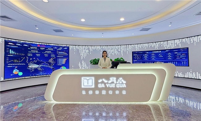 AI+知识产权大数据服务商八月瓜完成超4亿融资,数据赛道价值凸显-中小企业网