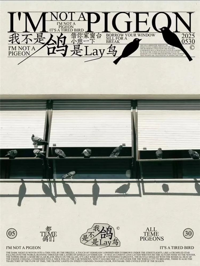 打破边界！照片到海报的设计焕新实验