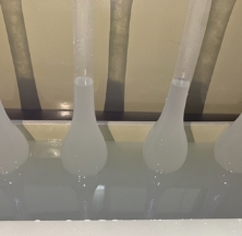 上海名流卫生用品股份有限公司，2025年社会责任报告