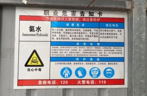 上海名流卫生用品股份有限公司，2025年社会责任报告