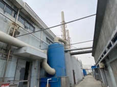 上海名流卫生用品股份有限公司，2025年社会责任报告