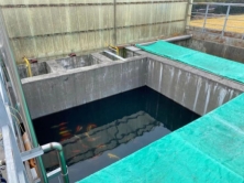 上海名流卫生用品股份有限公司，2025年社会责任报告