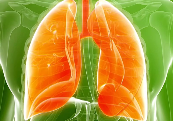 槲皮素哪个牌子效果好？槲皮素品牌推荐，精准匹配护肺款！