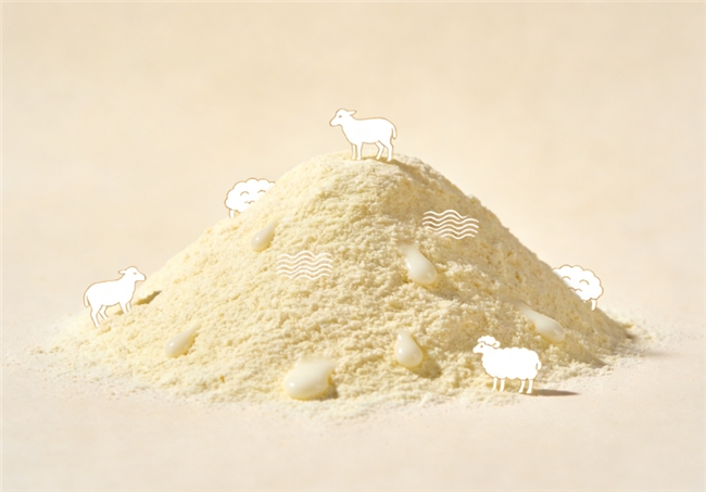 基于2026婴幼儿营养与喂养白皮书评选出的十大推荐品牌，小孩羊奶粉哪个品牌好？