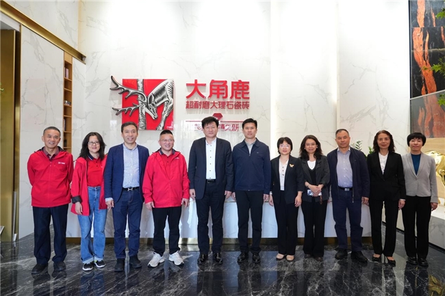 领导专家莅临大角鹿指导外贸发展，合力助推中国瓷砖扬帆出海