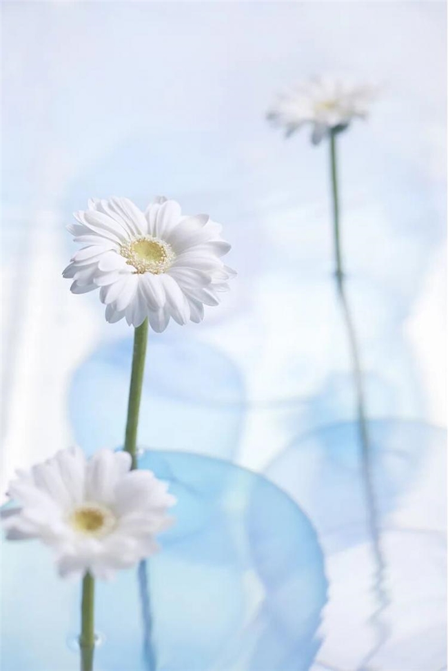 不只是花器：七款设计重塑器物与空间的对话