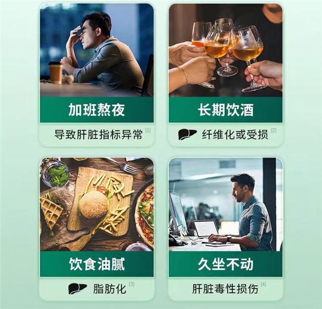 2026护肝片十大新款排行：护肝片哪个品牌品质佳？