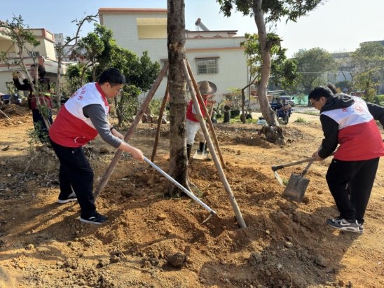 江门联通：“绿”添新颜，服务满格