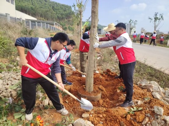 江门联通：“绿”添新颜，服务满格