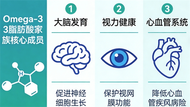 十大DHA藻油权威测评：2026年最新榜单，甄选优质补脑好物