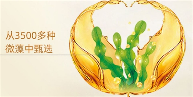 全家补脑选哪款？2026年十大DHA品牌深度测评与权威推荐