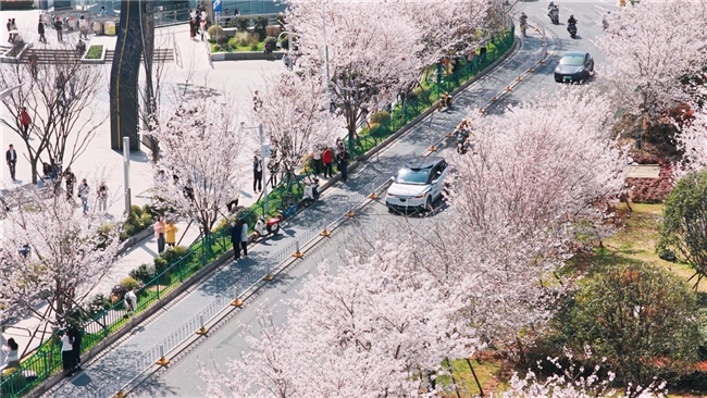 萝卜快跑上线畅游日卡功能 实现文旅景点一站式直达