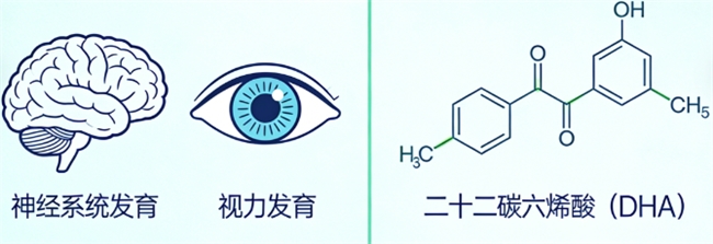 真实体验：2026年DHA全面测评，十大热门品牌效果深度验证