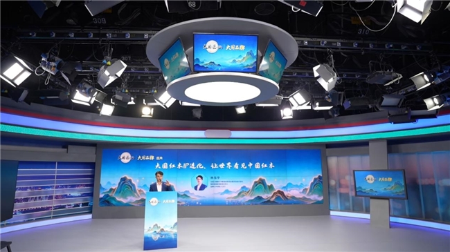 大国品牌盛典在京举行六家红木品牌入选(图5)