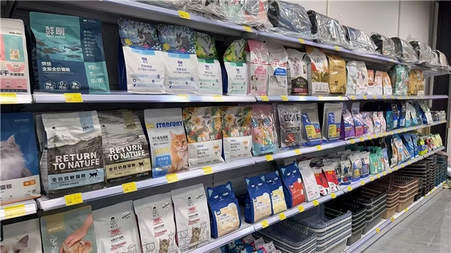 宠物行业还在涨，但宠物店老板最不该买的，可能就是“加盟确定性”
