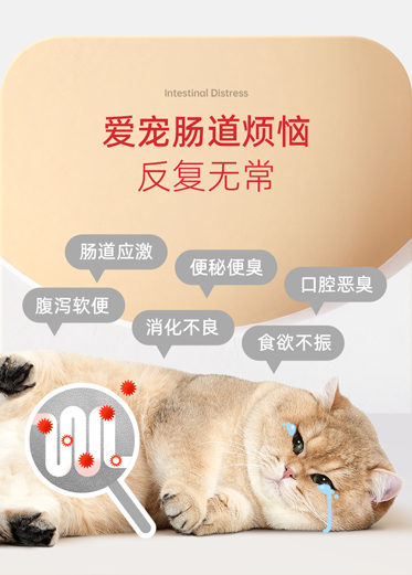 肠胃敏感不用慌，爱宠欢猫咪益生菌守护毛孩子健康 