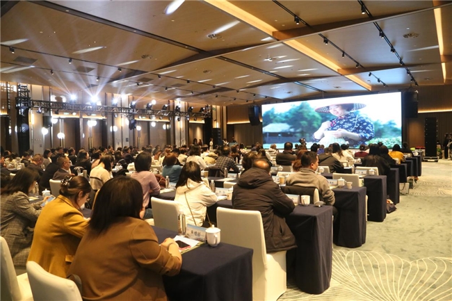 浙里疗休养 心归天台山——2026台州（天台山）疗休养推介大会举行第1张