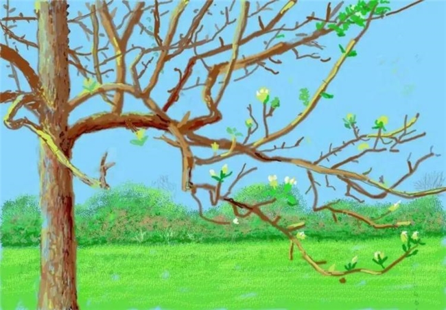 春入画笺，莫奈梵高霍克尼的色彩告白