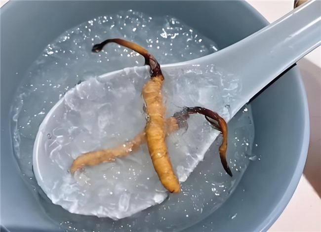 哪个冬虫夏草品牌销量高？2026年十大“销量爆款”冬虫夏草品牌，销量说明一切