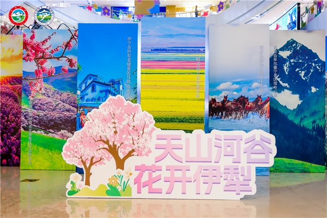 “天山河谷 花开伊犁”2026年伊犁州春夏季文旅推介会（广州站）邀大湾区游客共赴春日之约第1张