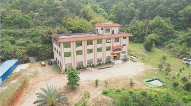 2026梅州黄酒厂家综合实力测评：代表性品牌深度解析与选型指南