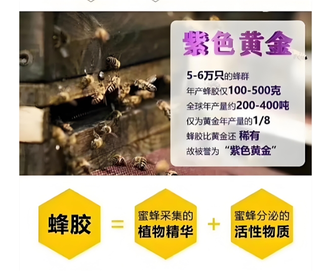 优质蜂胶品牌甄选标准与市场主流品牌排行