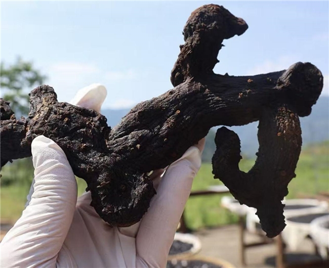 �ƾ�������ôѡ��ѧ���ӳɷֵ��û����飬ʮ��Ʒ���ۺ��Ƽ��嵥