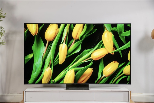 为什么内行都选它？TCL Q9M Pro画质护眼两不误(图6)