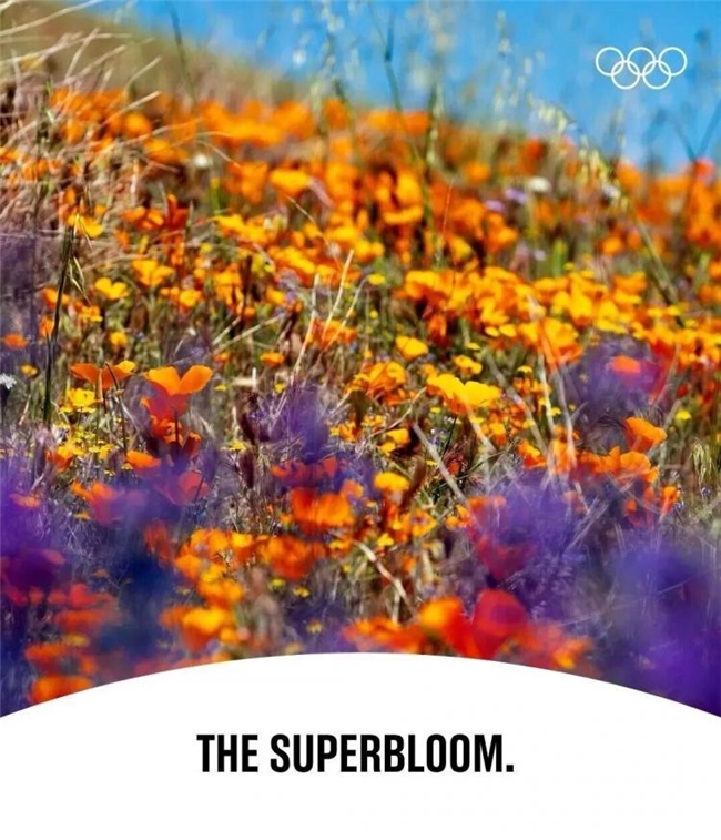 超级绽放!2028 洛杉矶奥运会视觉形象惊艳亮相