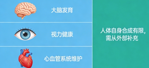 DHA哪个牌子靠谱?2026十大可靠品牌实测,家长放心选