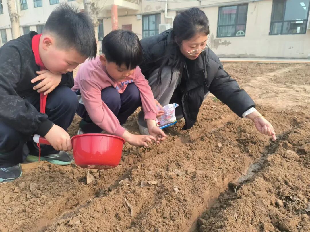 图片5.jpg