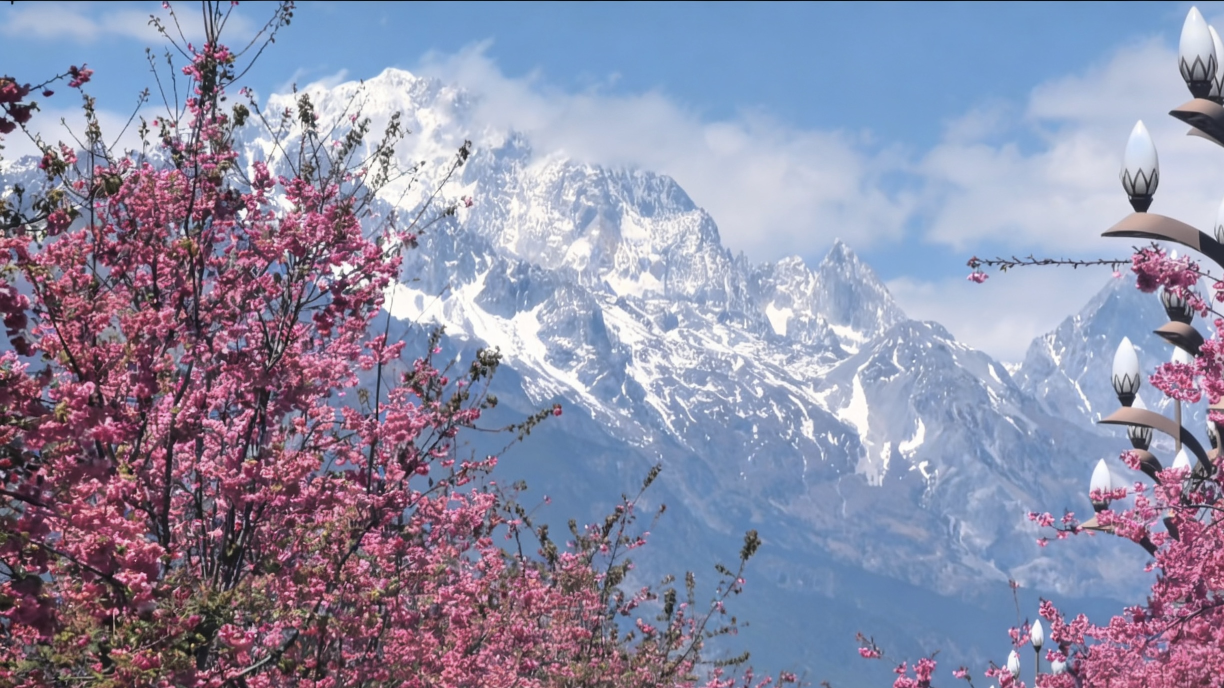 美国游客点赞丽江：深度体验民族文化，更惊叹中国安全有序第2张