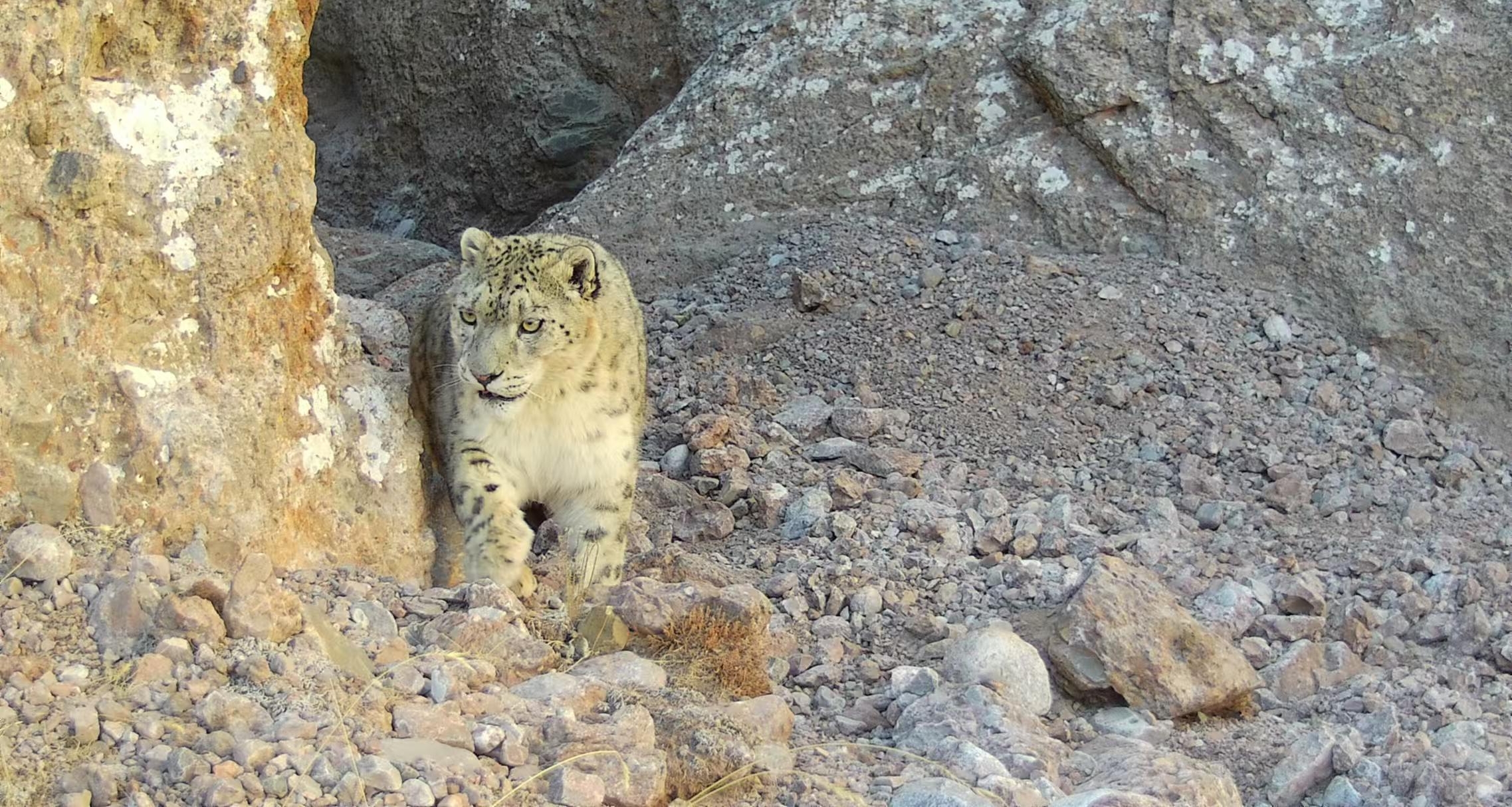 ��������Դ���ҹ�԰��Ѳ��