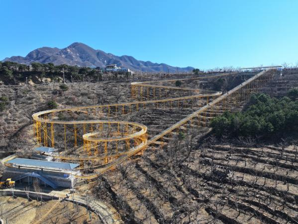 不止是游乐设备！YOLOR 双轨滑道，藏着景区体验升级的核心密码