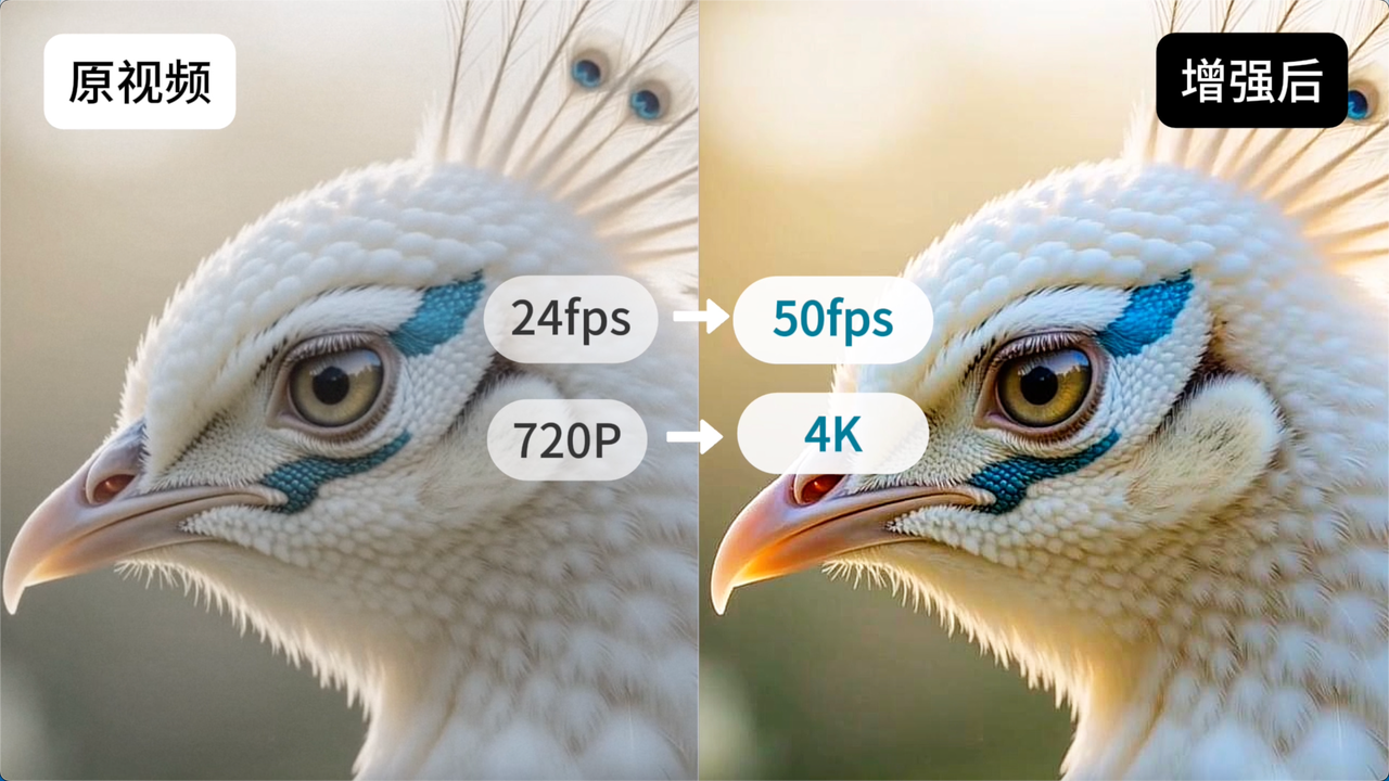 予之文化X火山引擎：AI MediaKit+Seedance 2.0，探索品牌与电商内容工业化新路径