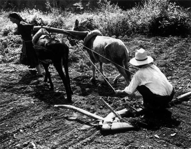 尤金・史密斯｜专题摄影的巅峰之作