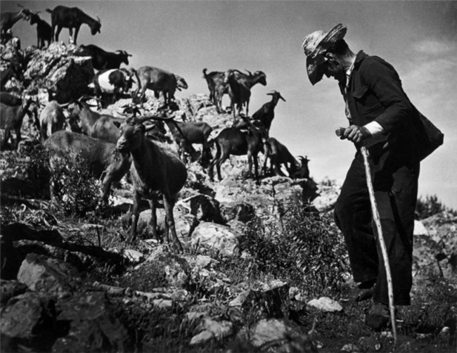 尤金・史密斯｜专题摄影的巅峰之作