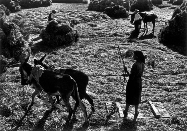 尤金・史密斯｜专题摄影的巅峰之作