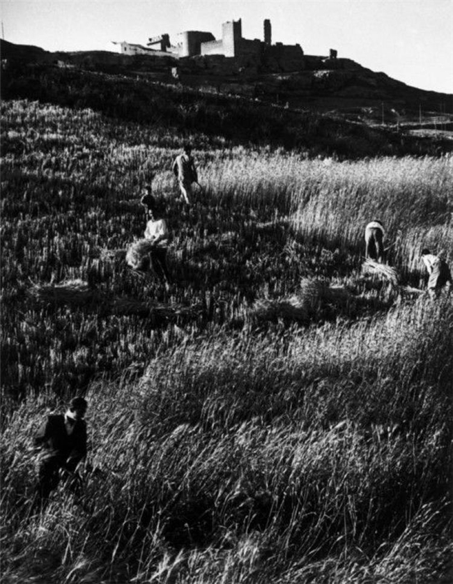 尤金・史密斯｜专题摄影的巅峰之作