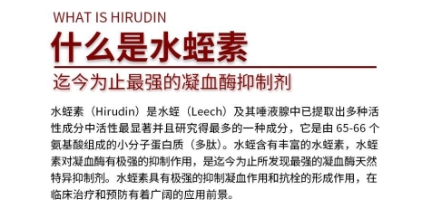 水蛭素哪个牌子好？2026十款水蛭素品牌推荐，水蛭素调理心脑血管养护