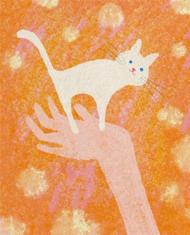 一笔治愈时光:Ken Smiths 笔下有灵魂的猫咪