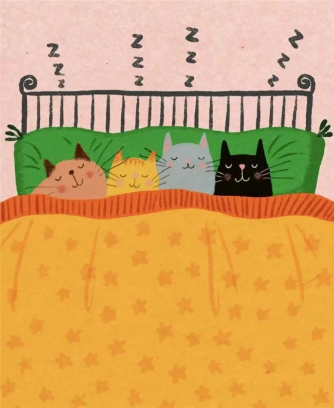 一笔治愈时光:Ken Smiths 笔下有灵魂的猫咪