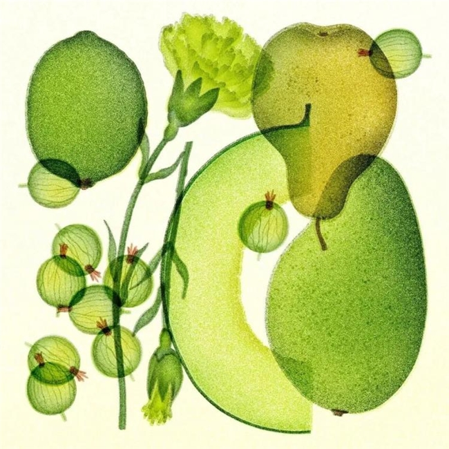 太会画了！法国插画师把水果拆成绝美透视图