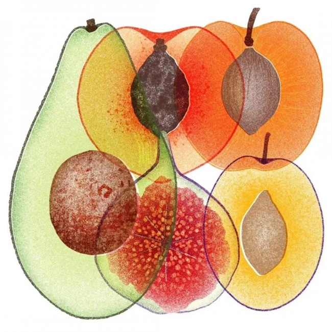 太会画了！法国插画师把水果拆成绝美透视图