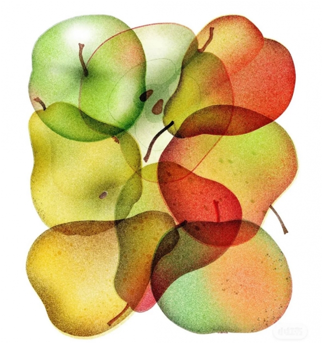 太会画了！法国插画师把水果拆成绝美透视图