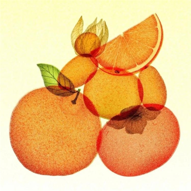 太会画了！法国插画师把水果拆成绝美透视图