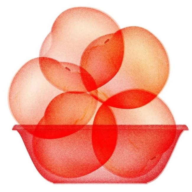 太会画了！法国插画师把水果拆成绝美透视图