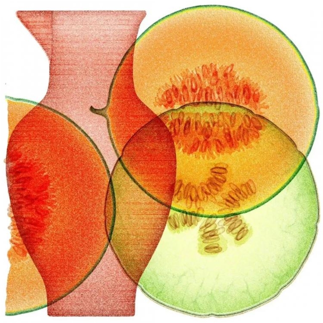太会画了！法国插画师把水果拆成绝美透视图