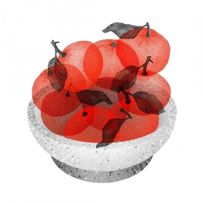 太会画了！法国插画师把水果拆成绝美透视图